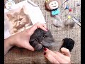 Keçe iğneleme ile 3D Kedi Portresi Yapımı -Needle Felted Cat TimeLapse (using real cat fur)
