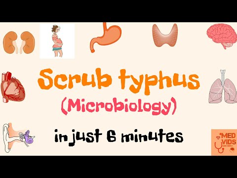 Scrub typhus | Microbiology | Med Vids Made Simple