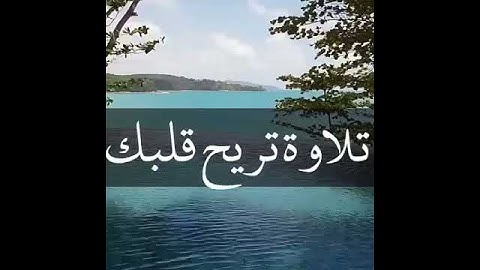 قرآن كريم بصوت ادريس ابكر ❤🔊 أجمل حالات واتس اب دينية مقاطع دينية قصيرة مقاطع انستقرام دينية