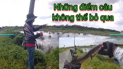 Chia sẻ từ A đến Z những điểm câu cá lóc ở Cần Giuộc  Long An [ Thắng Miền Tây Giao Lưu Cần Giuộc