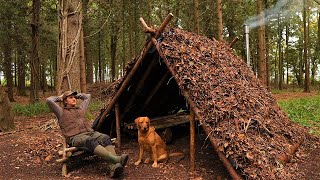 I Built A Viking House Survival Shelter | Bushcraft Project | Wilderness Cabin | Dog | Wood Stove