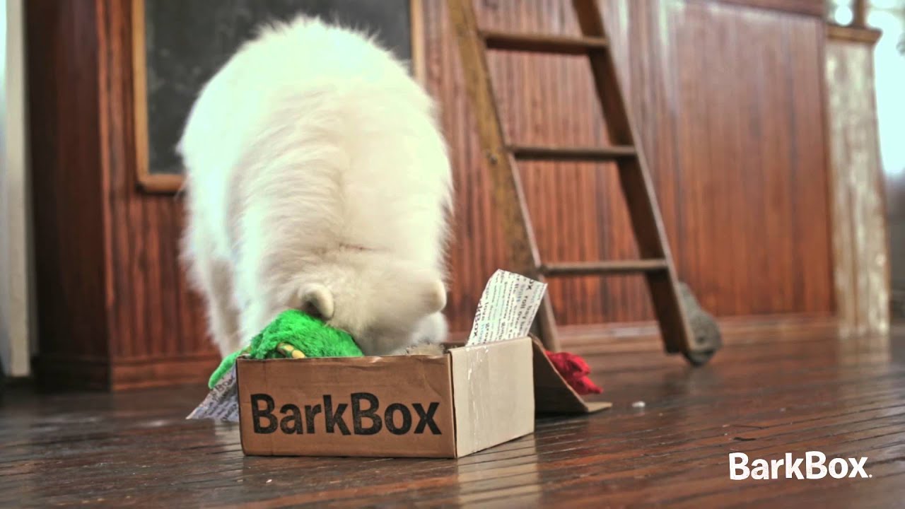 BarkBox Ad - #5