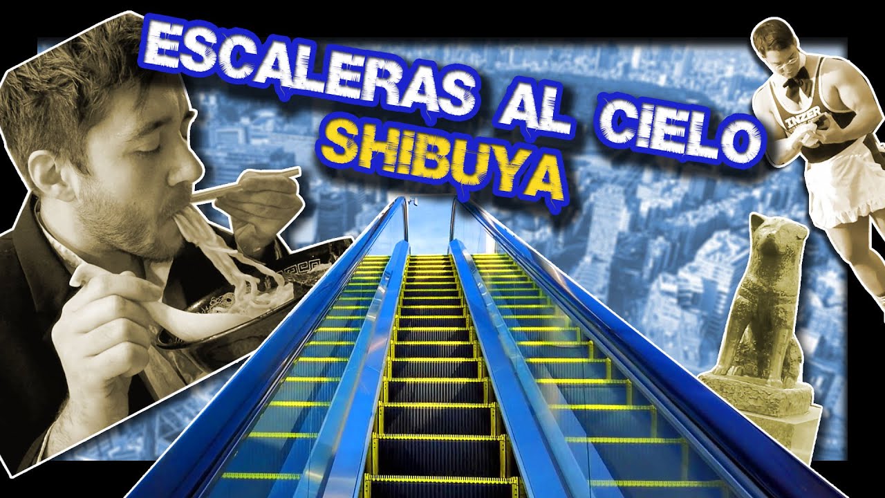 Las MEJORES VISTAS de SHIBUYA | Bienvenidos a Japón