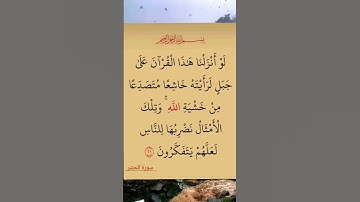 القرآن الكريم سورة الحشر