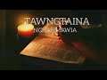 Tawngtaina Lyrics Video // Nghahmawia