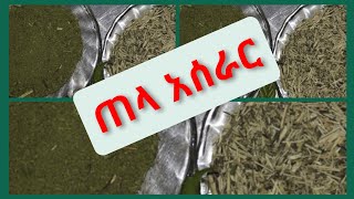 #ጠላ አሰራር ጠላ ባሌ ስላስፈለገው  ልጠምቅለት ነ