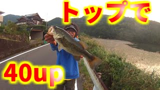 バス釣り　トップで出たぞ！