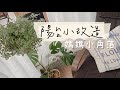 mama daily vlog #33 跟我一起逛逛宜得利、大創、natural kitchen/陽台小改造、成為舒適小角落