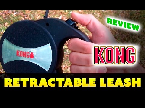 kong-retractable-dog-lead-review---for-large-breed-dogs