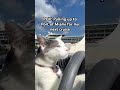 Blastin Snoop Dogg Pullin Into Port of Miami 🔊🛳️ #cruise #meme #miami