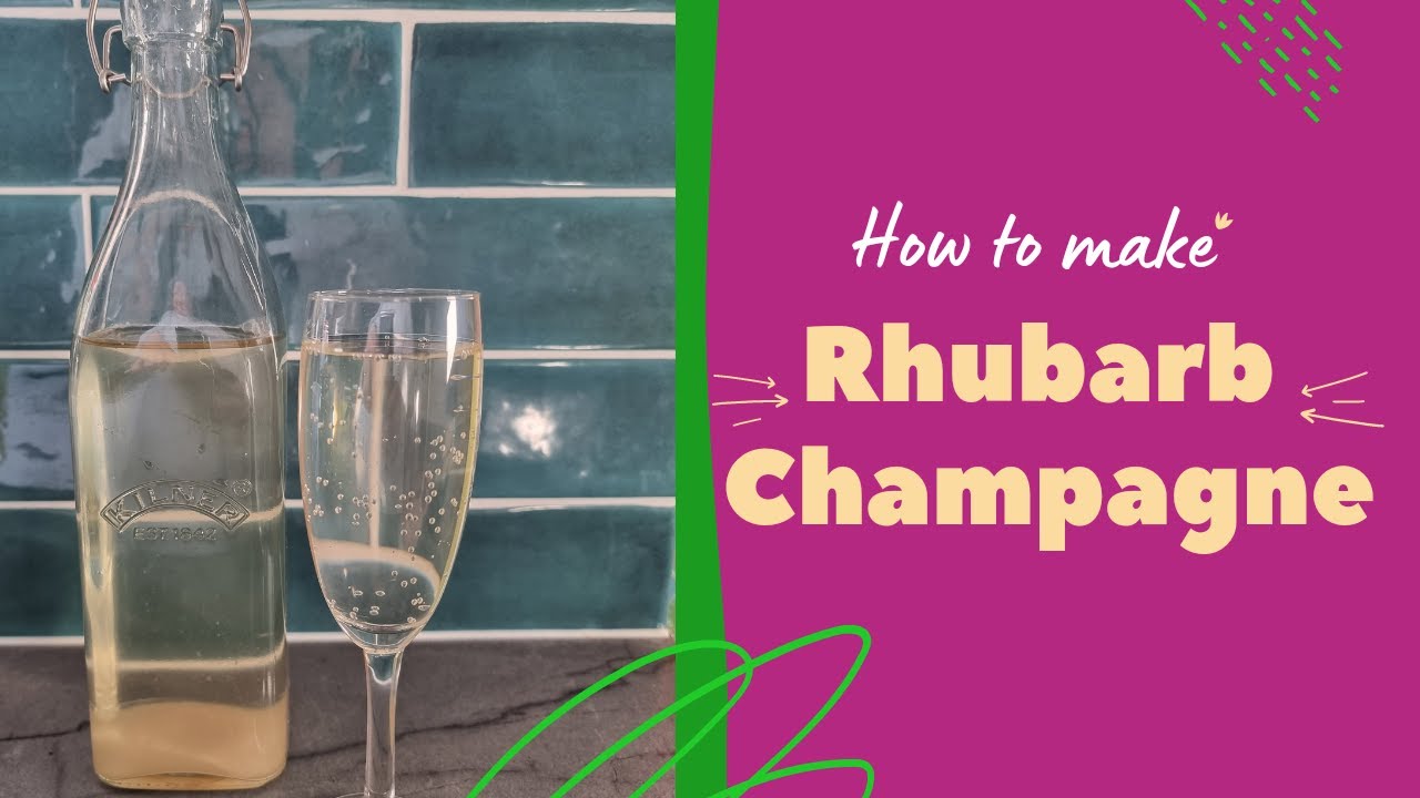 Making Rhubarb Champagne