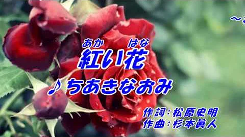 紅い花 Mp3