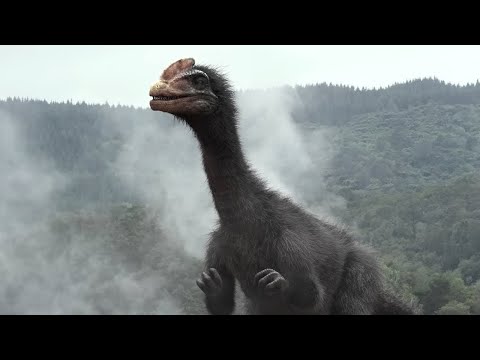 Video: Je, archeopteryx ilikuwa na mifupa mashimo?