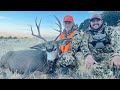 Last day magic a special first buck  a public land mule deer hunt