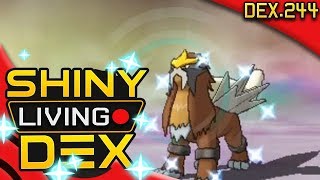FINALLY! SHINY ENTEI! Quest For Shiny Living Dex #244 | Pokemon Alpha Sapphire