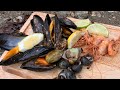 Coastal Foraging - Shellfish Beach Cook Up
