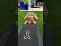 Paige Vanzant take it like a champ #share #shorts #viral #trending #foryou #fyp #news #sports #meme