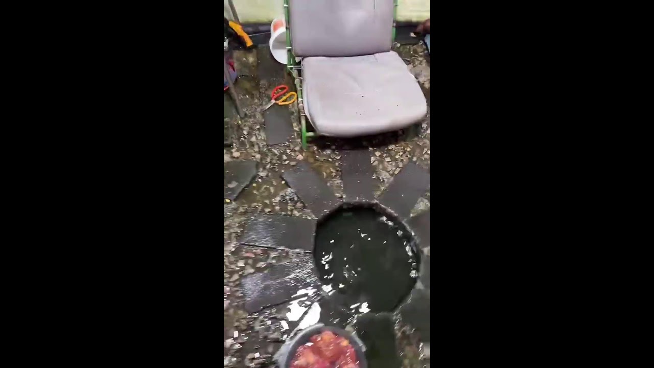 中国旅行直播 China Travel Live Streaming