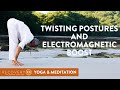 Twisting Postures and Electromagnetic Boost | Yoga with Tommy Rosen