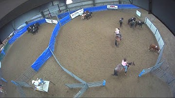 Big Sky Ranch Sorting Saddle Series #6 - #8 HC Ranch Hand - Round #1 - Ride #8