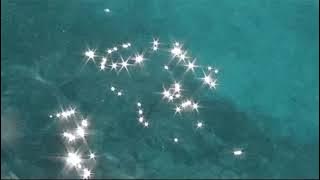 calvin harris ft. rihanna - this is what you came for (slowed and reverb)