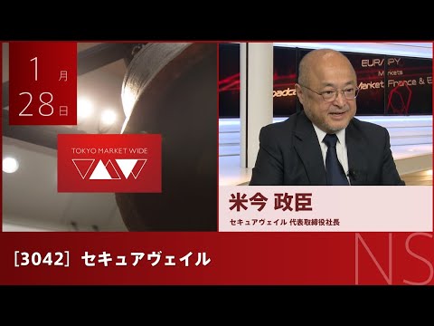セキュアヴェイル［3042］NS