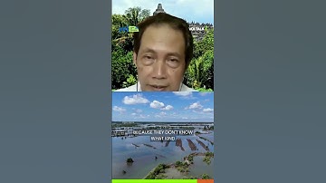 Towards COP30, How Can Climate Finance in Indonesia