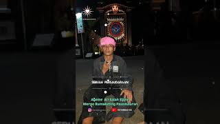 Story Wa Psht Terbanglah Tinggi Tanpa Saling Menjatuhkan