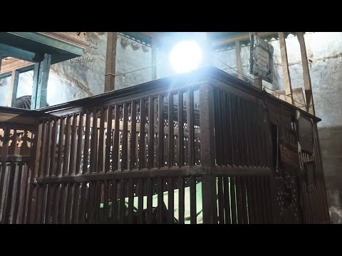 زياره الساده القاياتيه العدوة محافظة المنيا وسيرتهم من الشيخ ياسر القاياتي حفيد الساده القاياتي