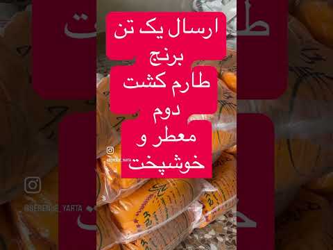 ارسال یک تن طارم کشت دوم معطر