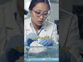 Почему вы сдаётесь слишком рано?