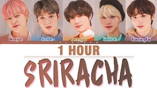 [1 HOUR] TXT (투모로우바이투게더)- 'Sriracha' (original: Marteen) -[ColorCoded/Eng/Lyrics/가사]
