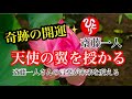 【斎藤一人】奇跡の開運 良きことが山ほど起きる「天使の翼」 #斎藤一人