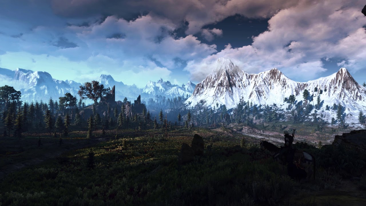 The witcher 3 skyrim фото 98