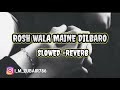 ROSH WALA MAINE DILBARO || SLOWED +REVERB || WhatsApp status Mp3 Song