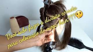 DETAILED HAIR DIVISION FOR MEGA HAIR BEGINNERS. HAIR GEOMETRY | LI CARDOSO