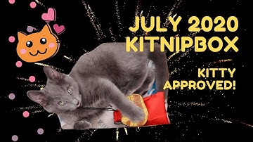 July 2020 Kitnipbox