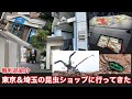東京＆埼玉の昆虫ショップに行ってきたよ！【戦利品紹】
