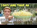 Paggawa ng Homemade Togue | Mung Bean Sprout