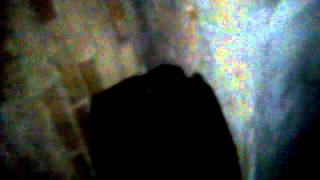 Vid 20121205 234418