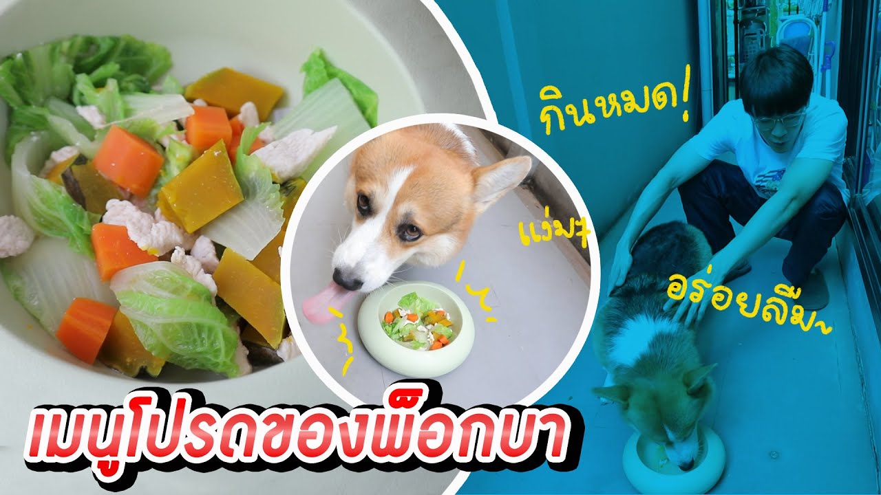 มาร์ชจุ...เรียนทำเมนูโปรดของพ็อกบา | MARCHU