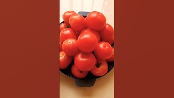Home Made Tomato Ketchup Recipe 😋  #tomatosauce #homemade #shorts #trending