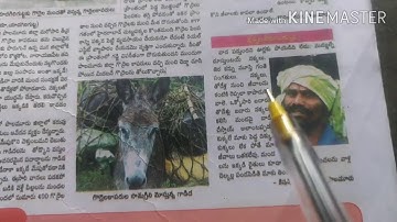 పరిసరాల విజ్ఞానం,5 వ తరగతి, పాఠ్యాంశం: జంతువులు- మన జీవనాధారం ,పార్ట్-2