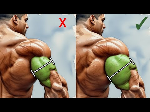 Stop Wasting Time – Do These Triceps Exercises Gym Instead