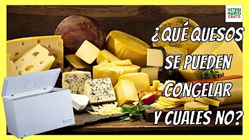 ¿Qué queso puedo congelar?