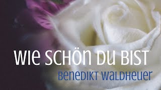 Sarah Connor - Wie schön Du bist (Benedikt Waldheuer Piano Cover) #music #piano #sarahconnor #cover