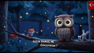 Küçük Baykuş, Ne Görüyorsun?2 Turkish Bible Song Cantamundos