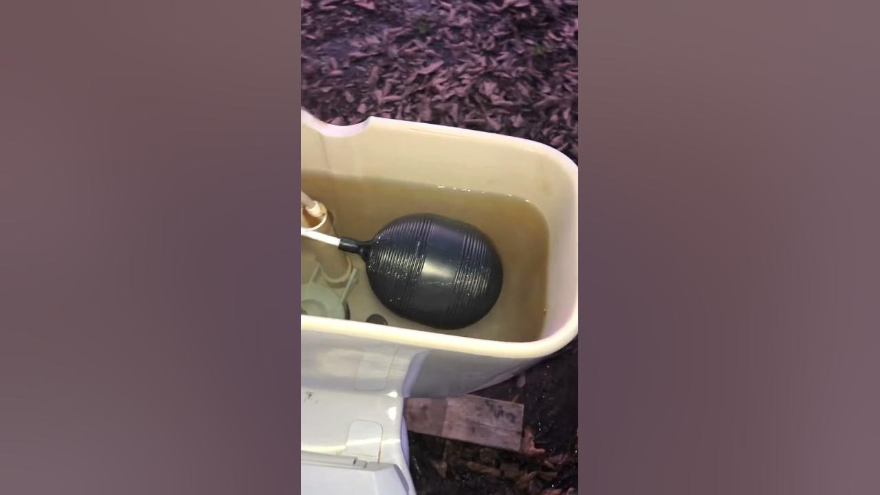 2000 Eljer Patriot Toilet Full Look And Flushing YouTube