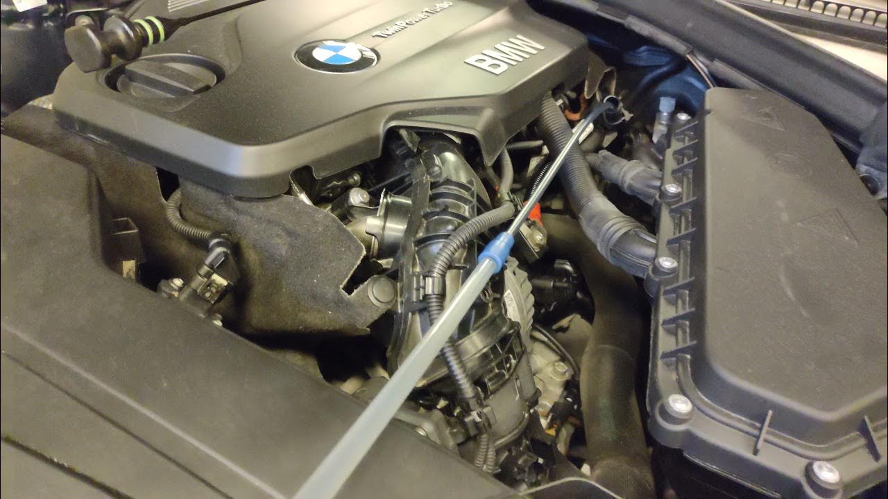 F31 BMW oil change via oil dipstick tube YouTube