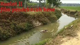 Kualat || film pendek#cah kene